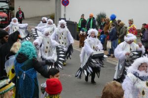 rmu 2019 b rmu 2019 b